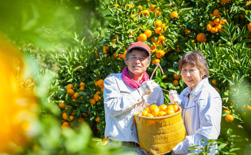 わたしたちのこと